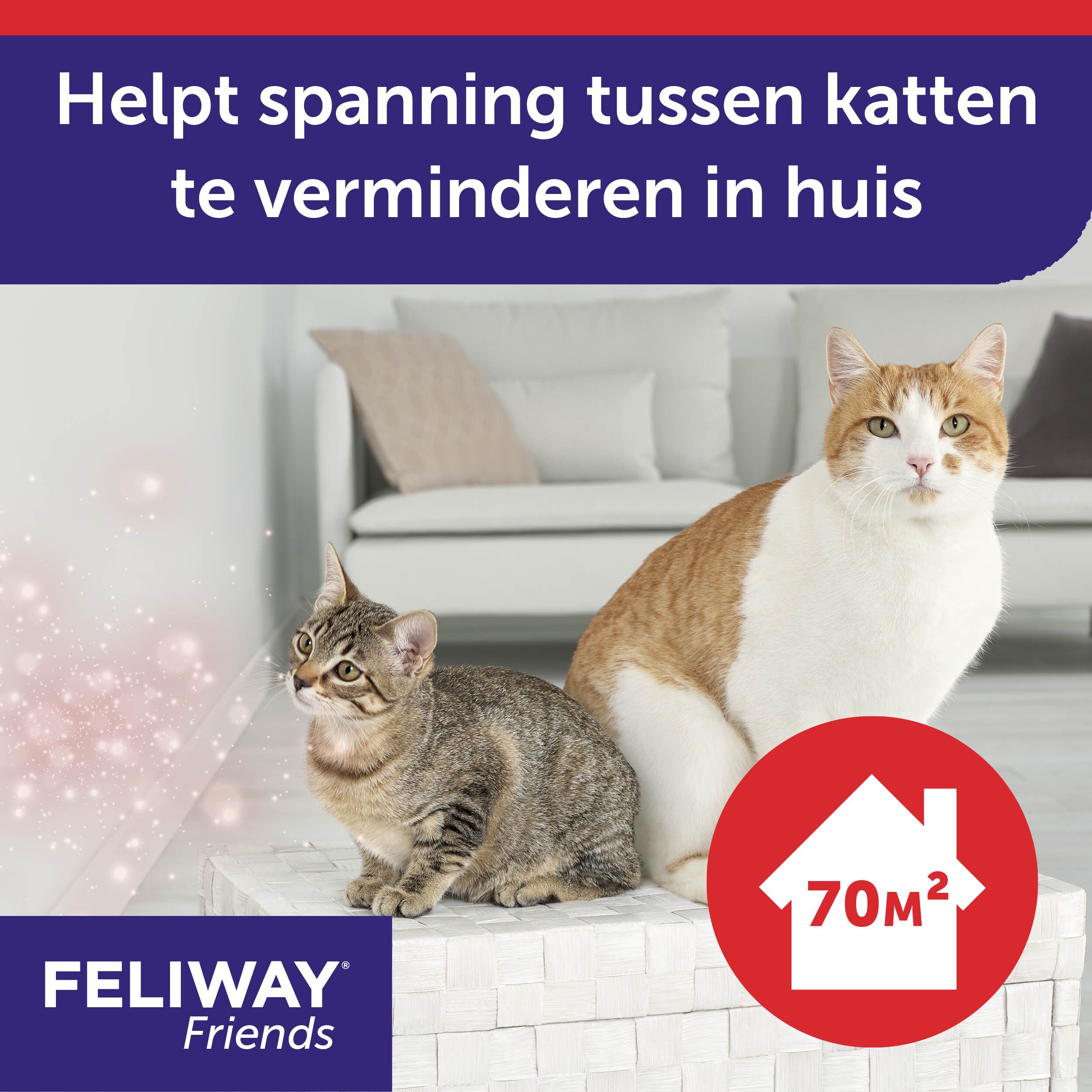 Feliway® Friends Startset 1 Maand