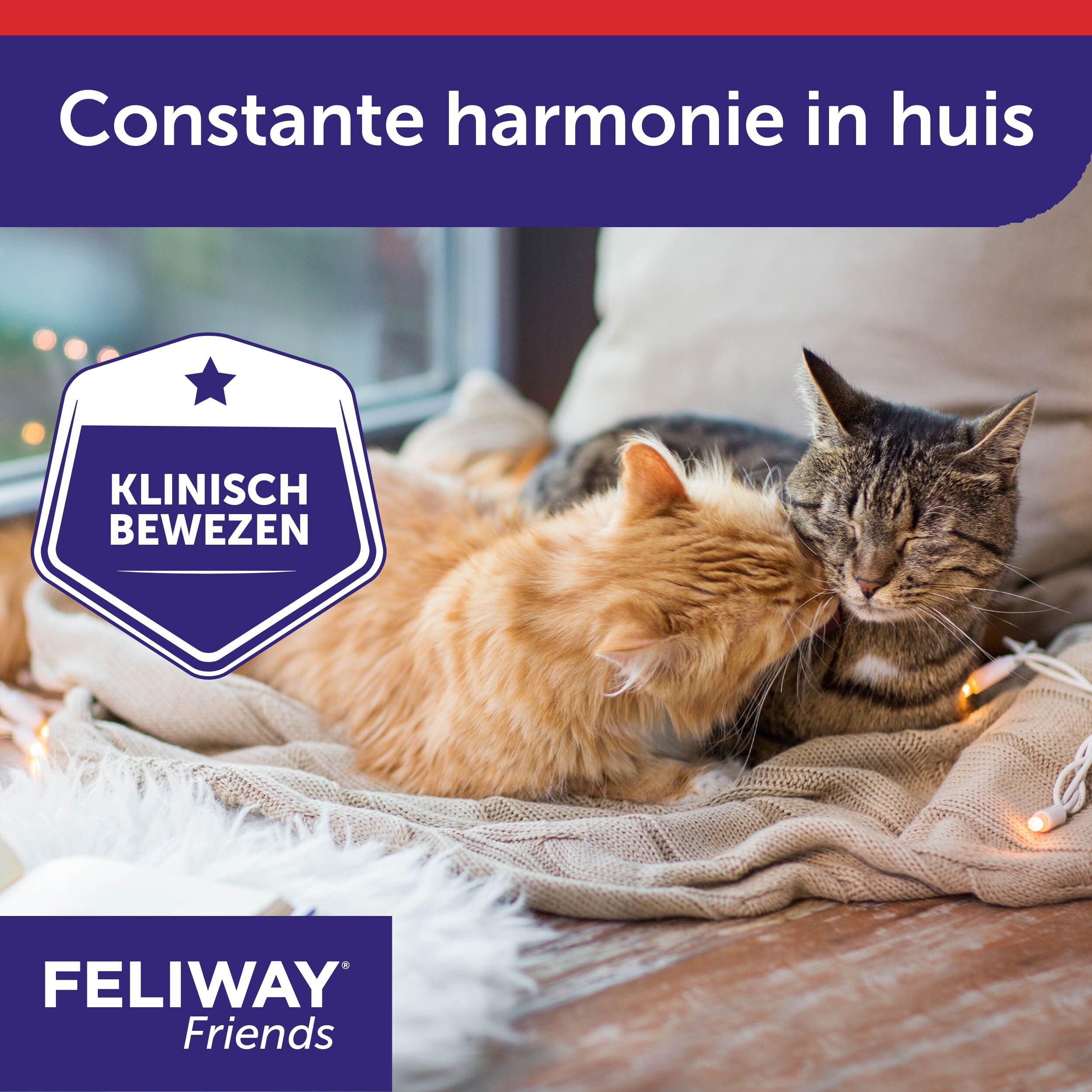 Feliway® Friends Startset 1 Maand