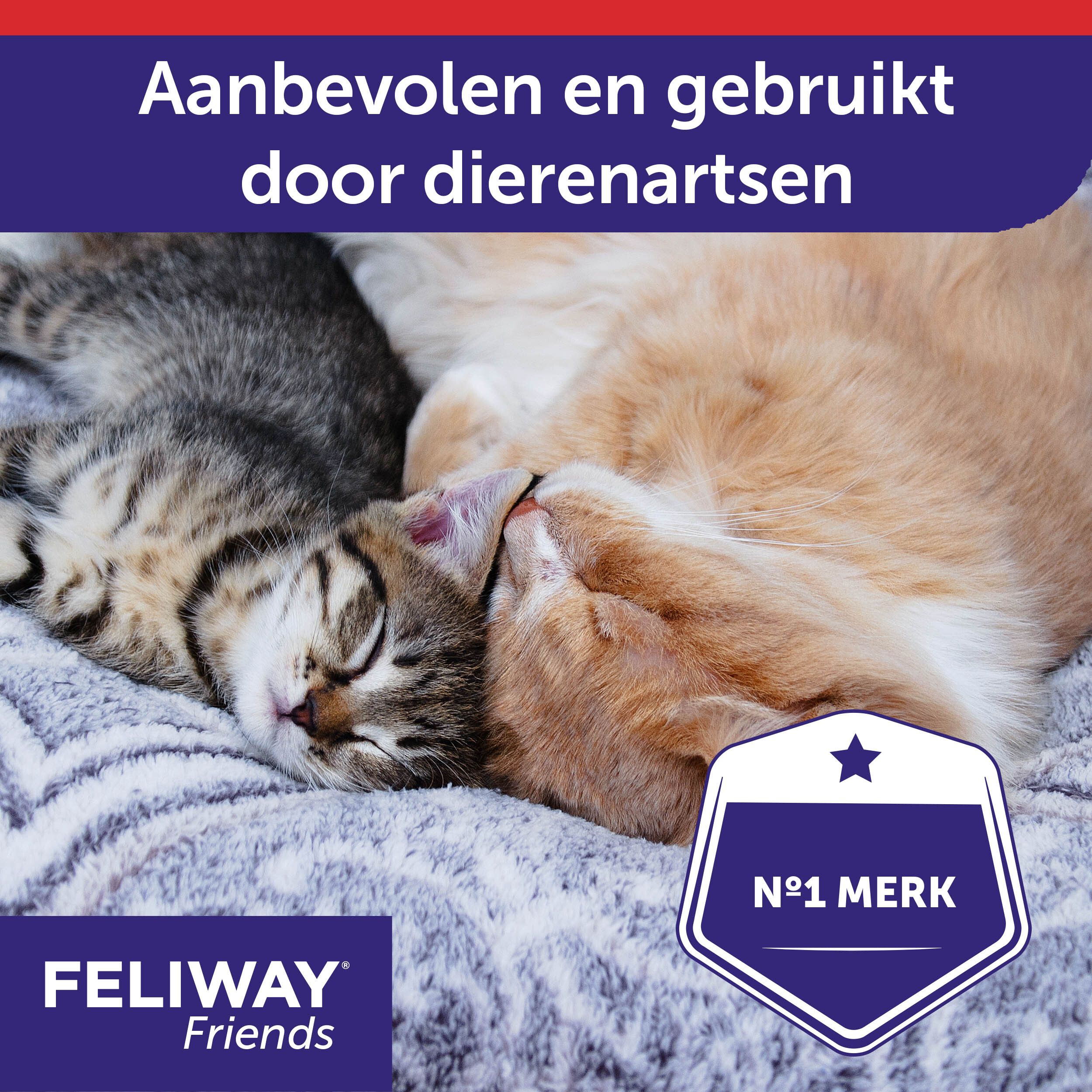 Feliway® Friends Startset 1 Maand