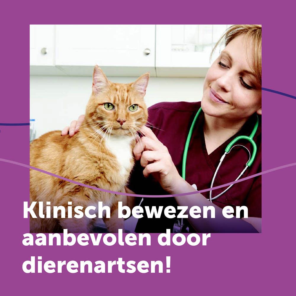 Feliway Classic spray. Dierenarts onderzoekt kat. Opschrift: Klinisch bewezen en aanbevolen door dierenartsen!