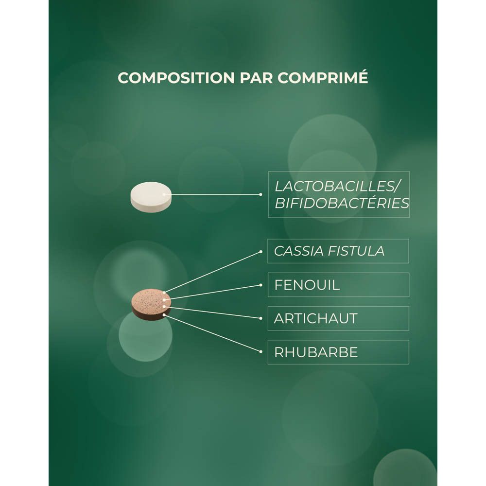 Visuel publicitaire avec les ingrédients de Fit-O-Trans Pro+. Comprimés et ingrédients : fenouil, artichaut, rhubarbe.
