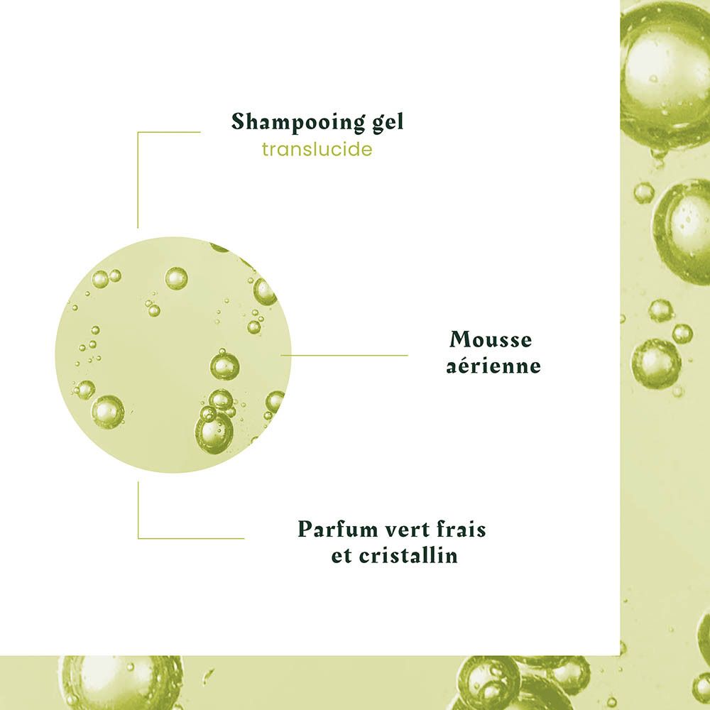 Shampooing gel translucide avec mousse aérienne et parfum frais et cristallin.