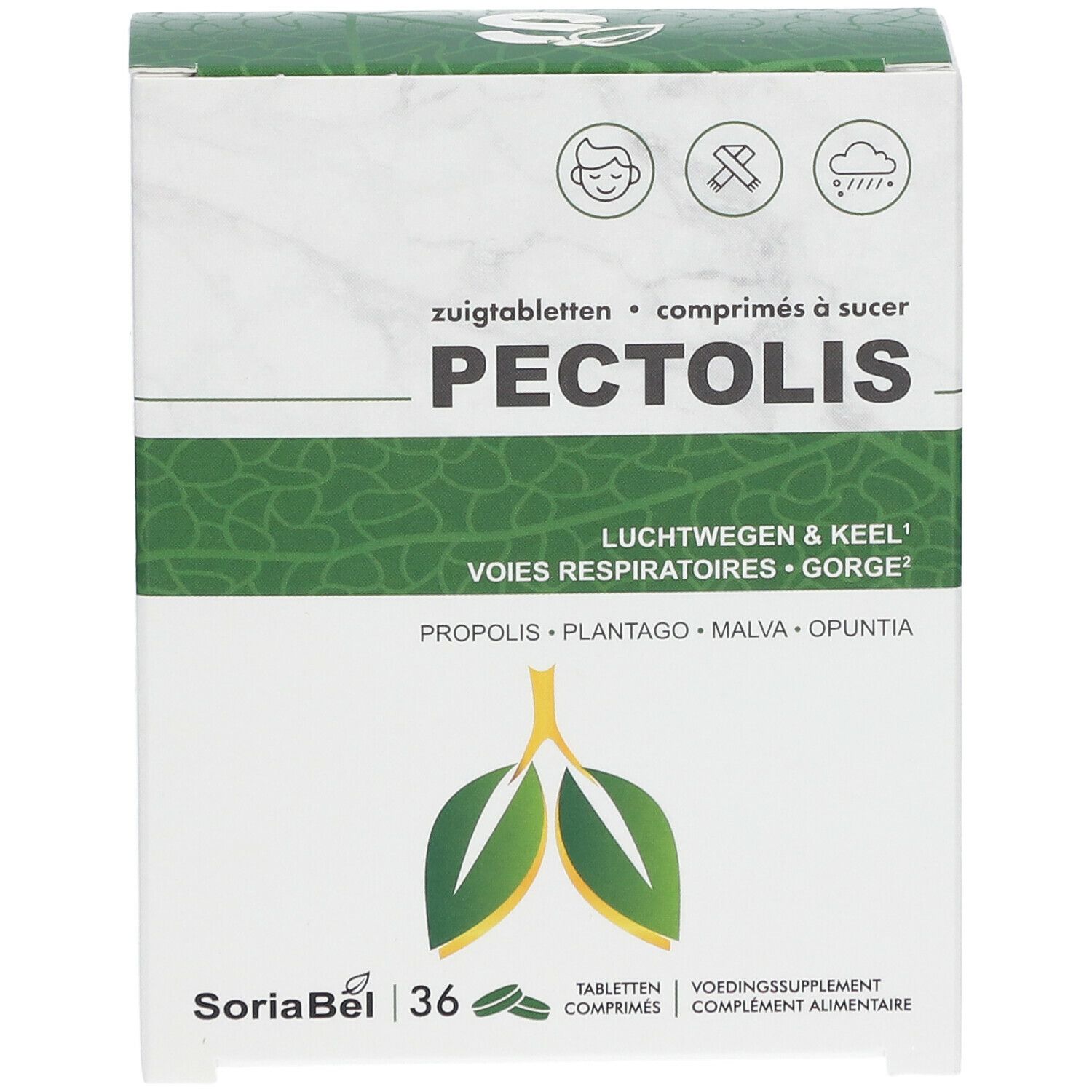 SoriaBel Pectolis