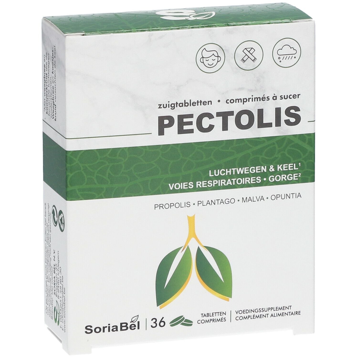 SoriaBel Pectolis