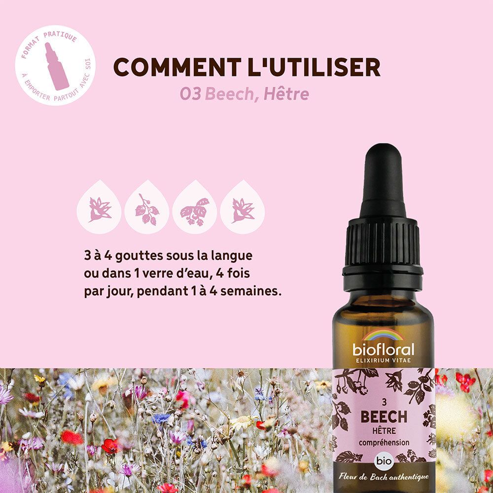 BIOFLORAL 03 - Beech - Hêtre - 20 ml