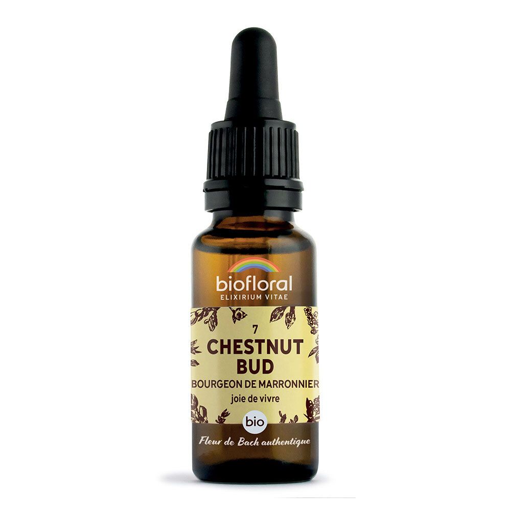 BIOFLORAL 07 - Chestnut Bud - Bourgeons marronnier - 20 ml
