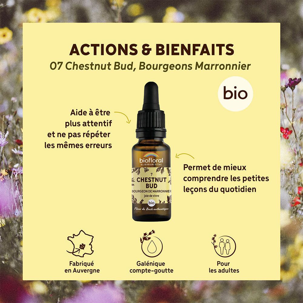 Fond jaune avec flacon. Texte : Actions & Bienfaits. Certification bio. Forme galénique.