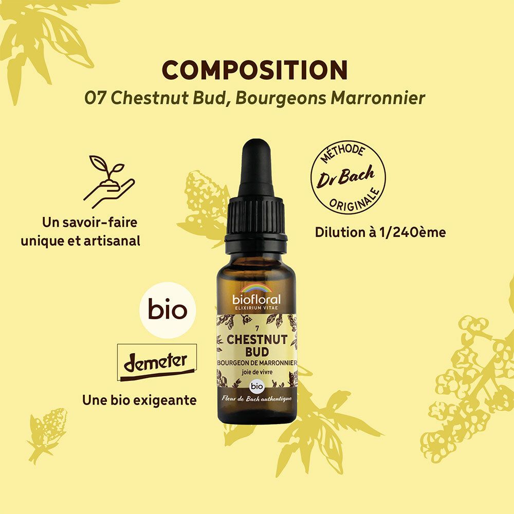 BIOFLORAL 07 - Chestnut Bud - Bourgeons marronnier - 20 ml