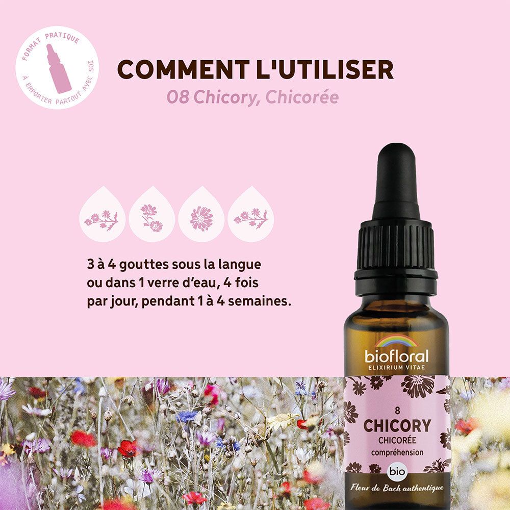 Fond rose avec texte : Comment l'utiliser, 08 Chicory, Chicorée. Flacon, symboles de gouttes.
