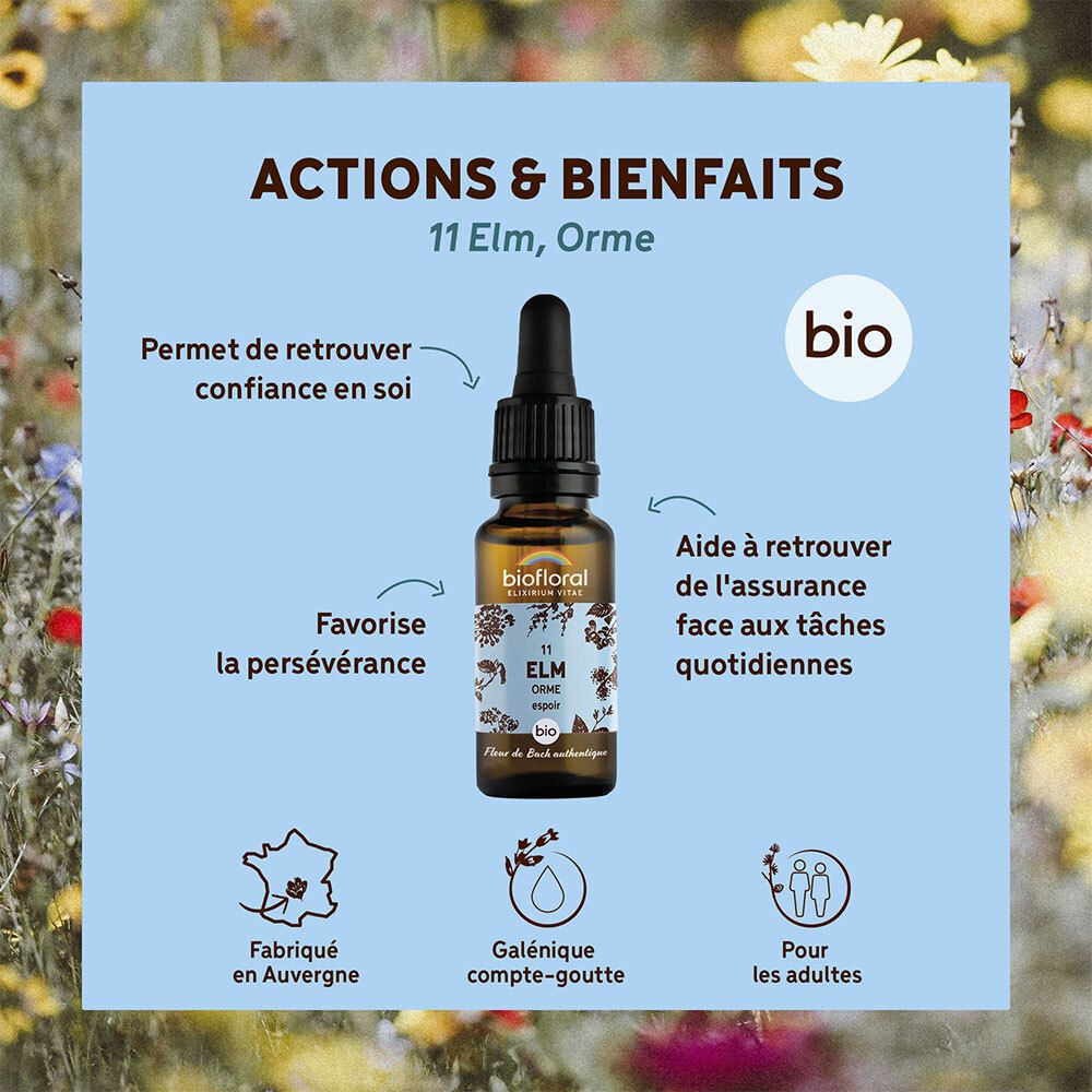 BIOFLORAL 11 - Elm - Orme - 20 ml