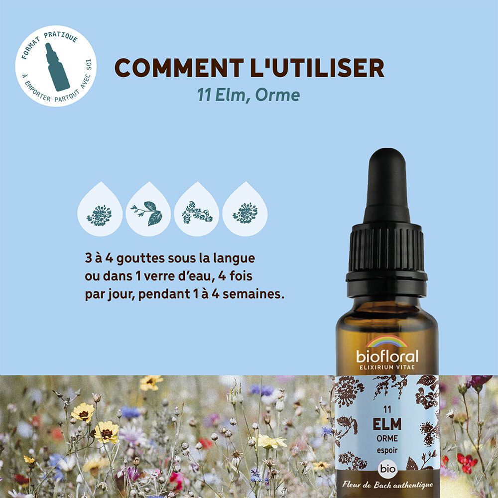BIOFLORAL 11 - Elm - Orme - 20 ml