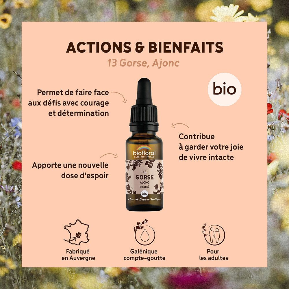 Biofloral Bachbloesems 13 Gaspeldoorn Bio