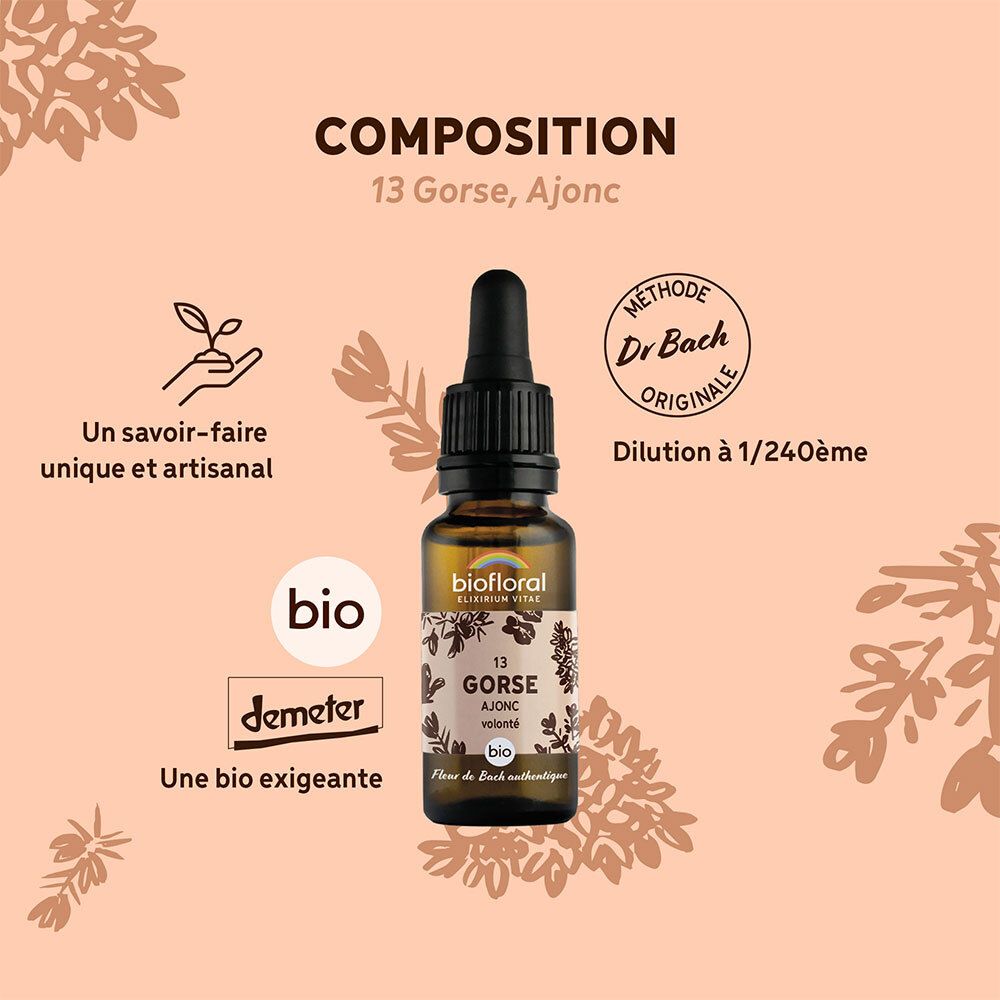 Biofloral Bachbloesems 13 Gaspeldoorn Bio