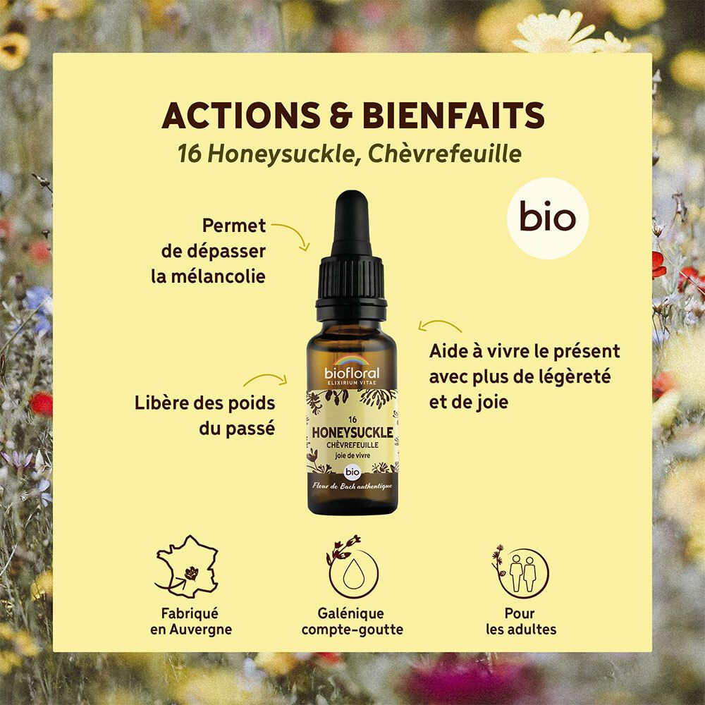 Fond jaune avec produit. Texte : Actions & Bienfaits, 16 Honeysuckle. Certification Bio. Fabriqué en Auvergne.