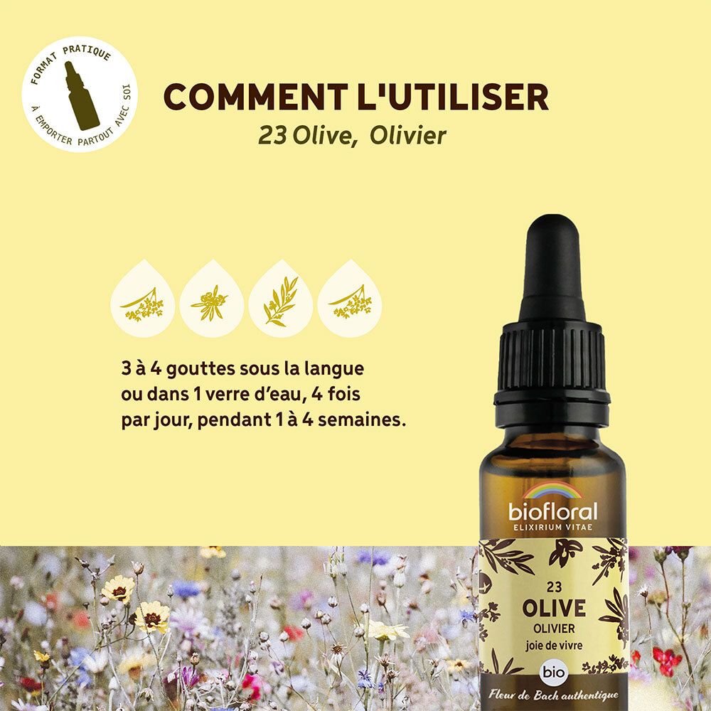 BIOFLORAL 23 - Olive - Olivier - 20 ml