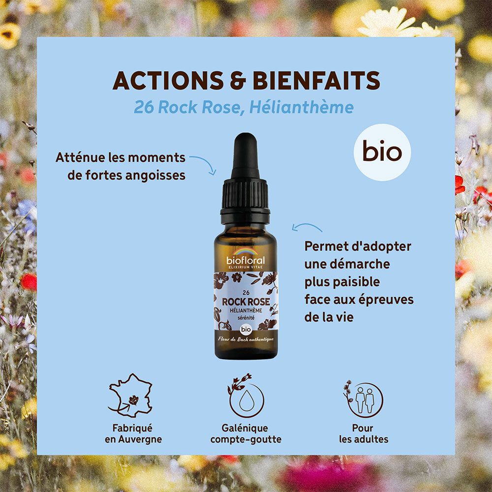 Biofloral Bachbloesems 26 Zonneroosje Bio