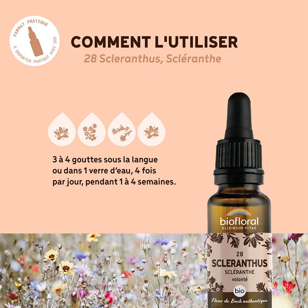 BIOFLORAL 28 - Scleranthus - Scléranthe - 20 ml