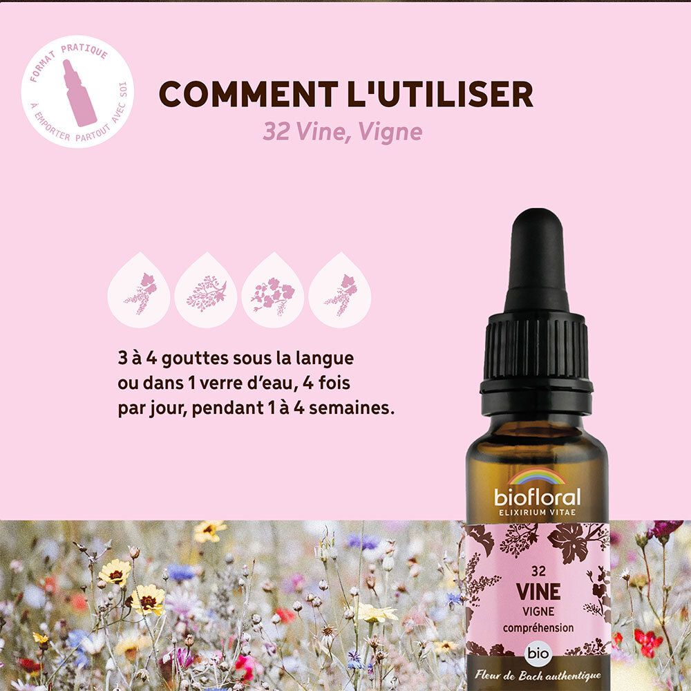 BIOFLORAL 32 - Vine - Vigne - 20 ml