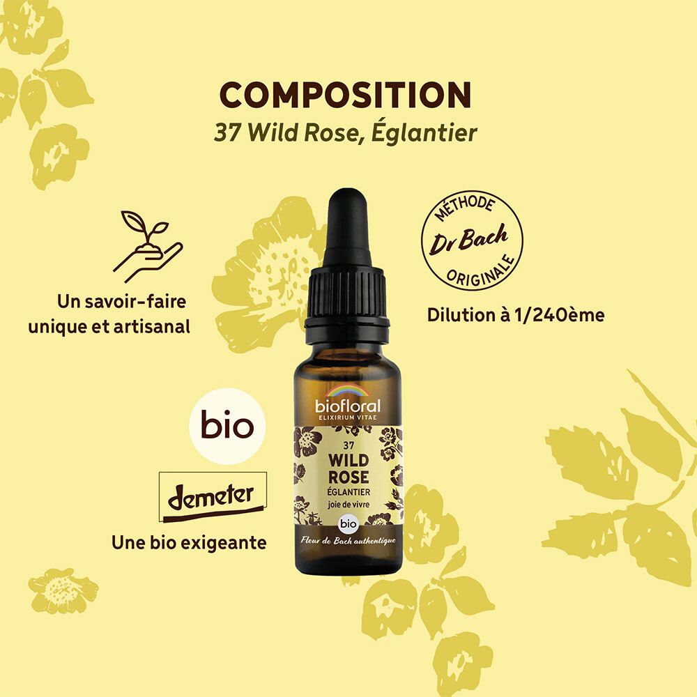 BIOFLORAL Wild rose - Eglantier - 20 ml