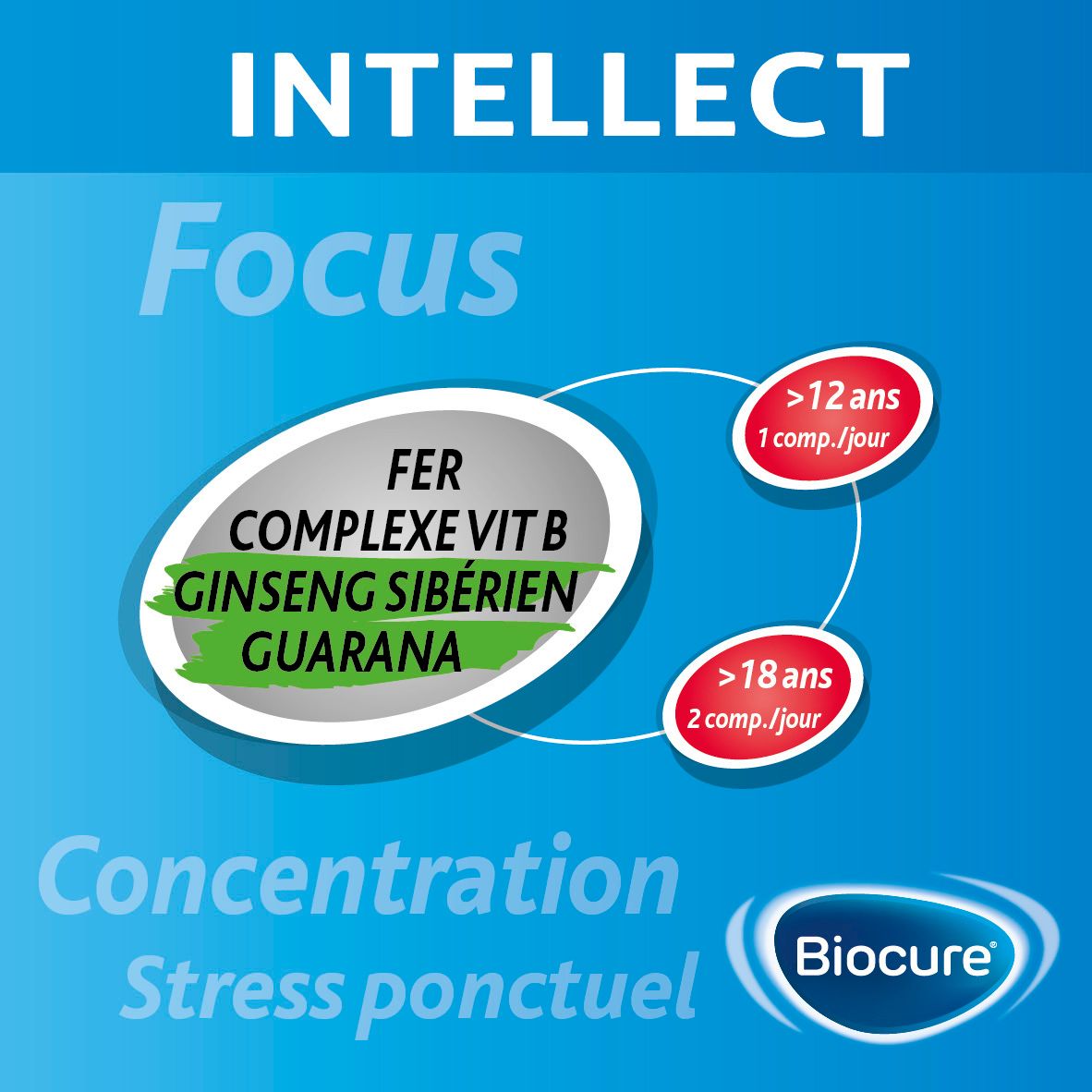 Biocure® Intellect - Concentration, Mémoire, Vitamine