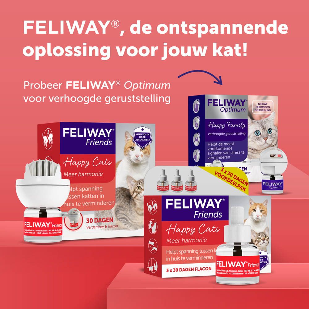 Ons geruststellend feromoon vermindert conflicten tussen katten.