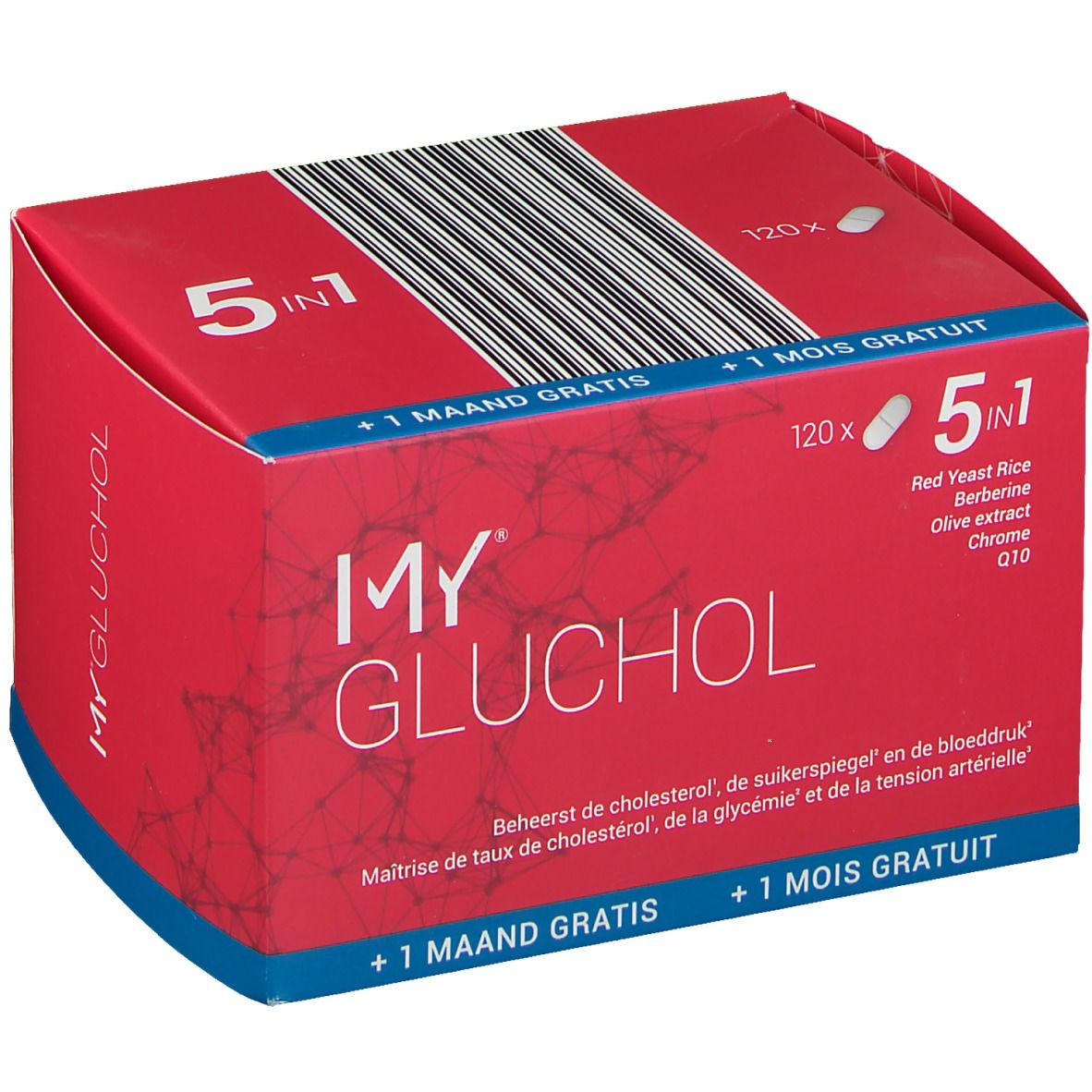 My Gluchol