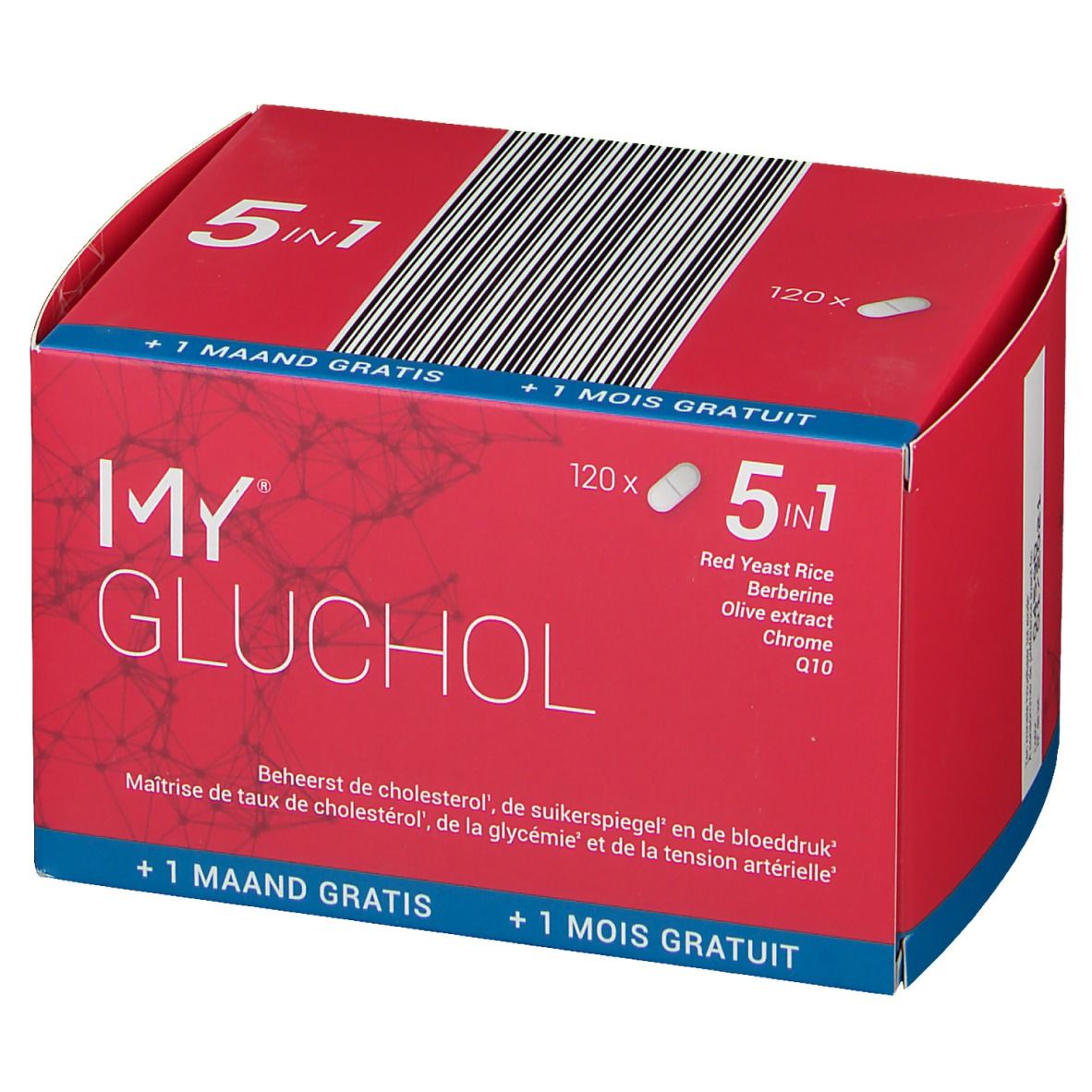 My Gluchol