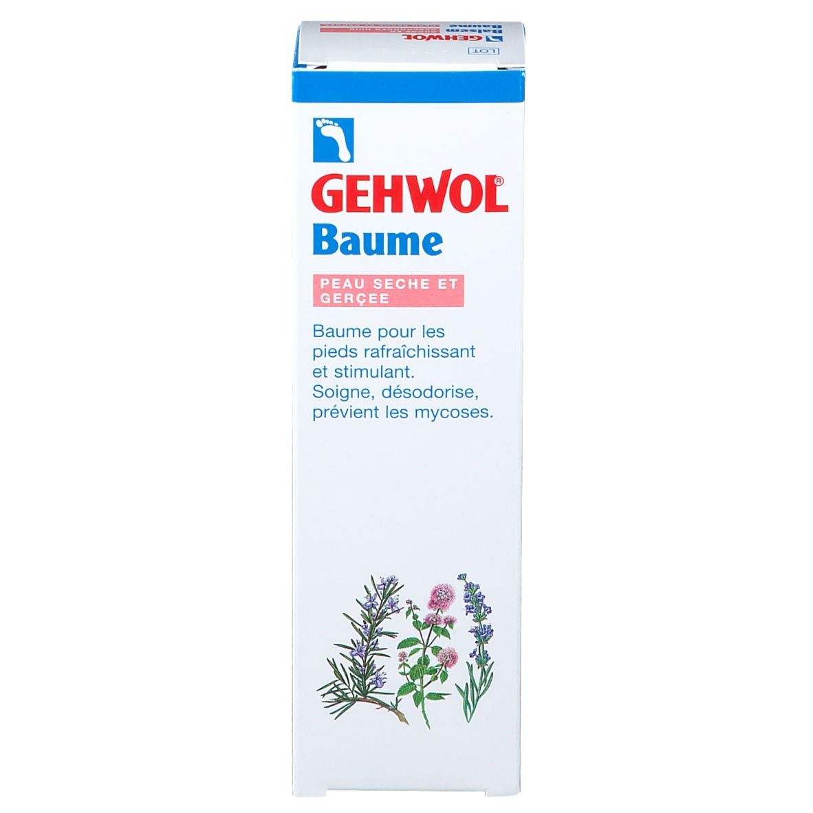 Gehwol Baume pour Pieds Secs Nouvelle Formule