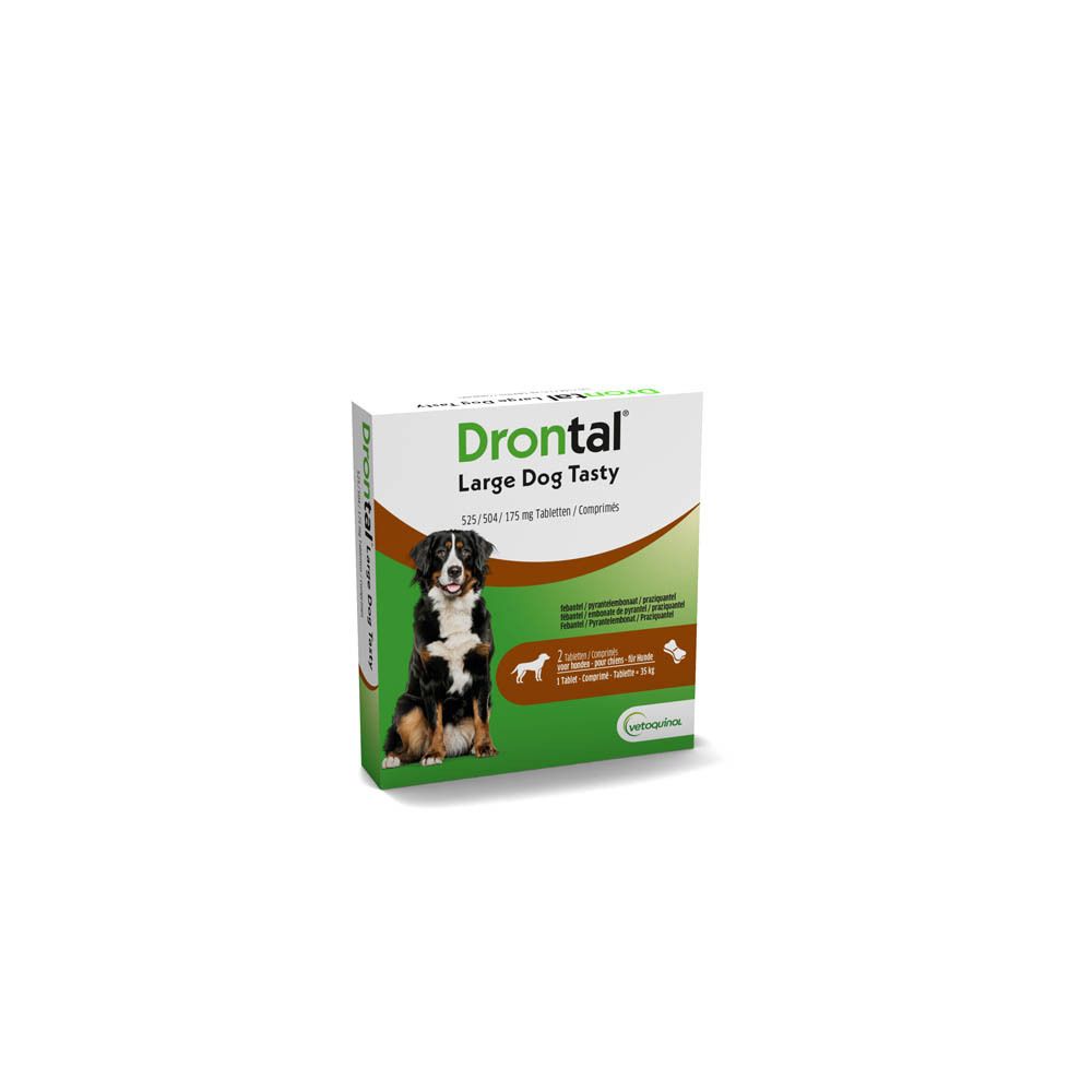 Boîte Drontal Large Dog Tasty. Chien sur l'emballage. Contient 2 comprimés. Logo Vetoquinol.