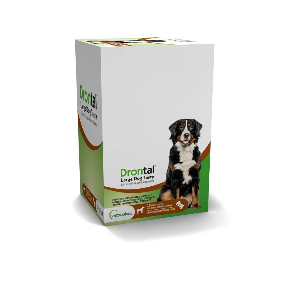 Emballage Drontal Large Dog Tasty. 24 comprimés. Image de chien. Logo Vetoquinol.