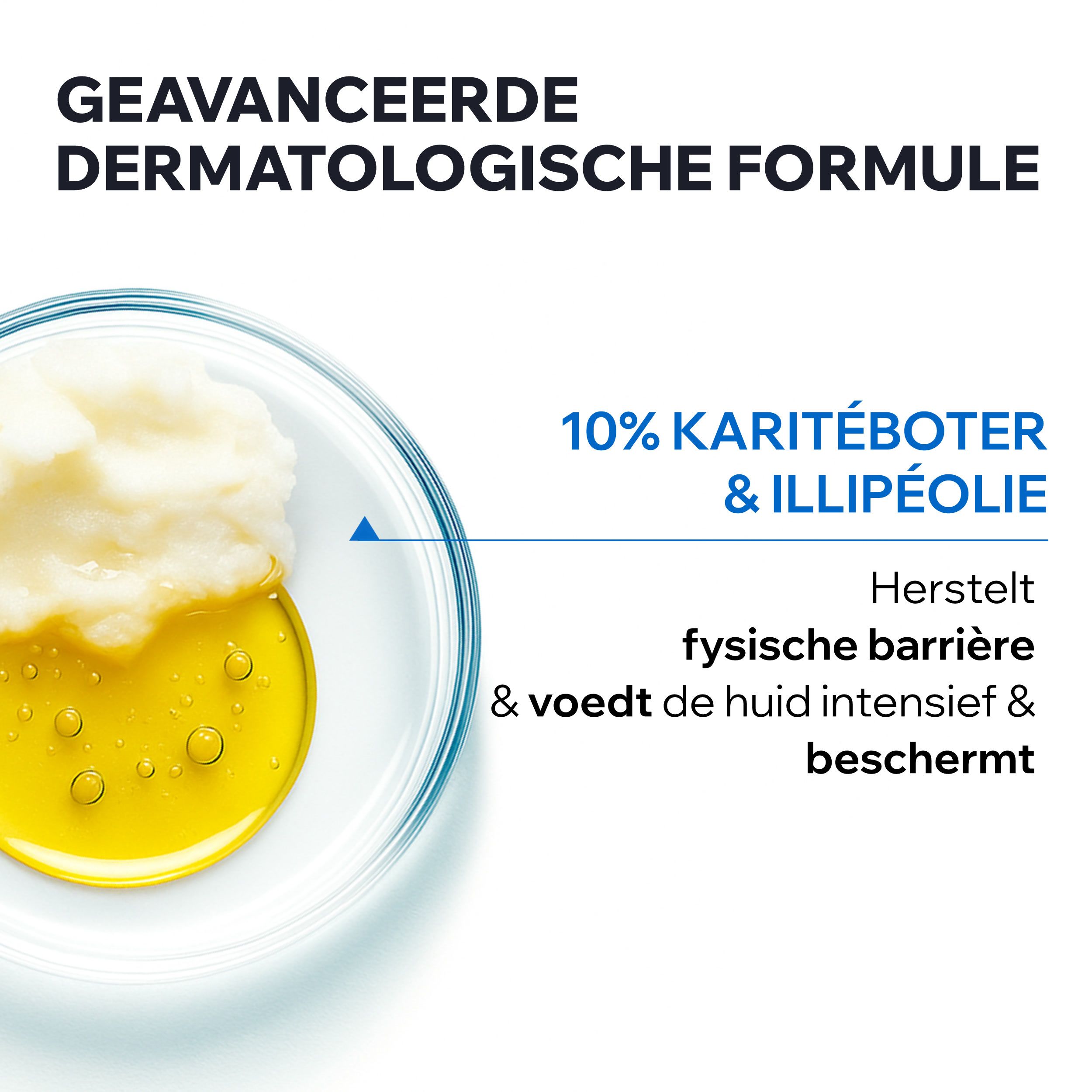 Grafiek met patenten. Cirkels met tekst. Cerasterol 2F en Chronoxine.