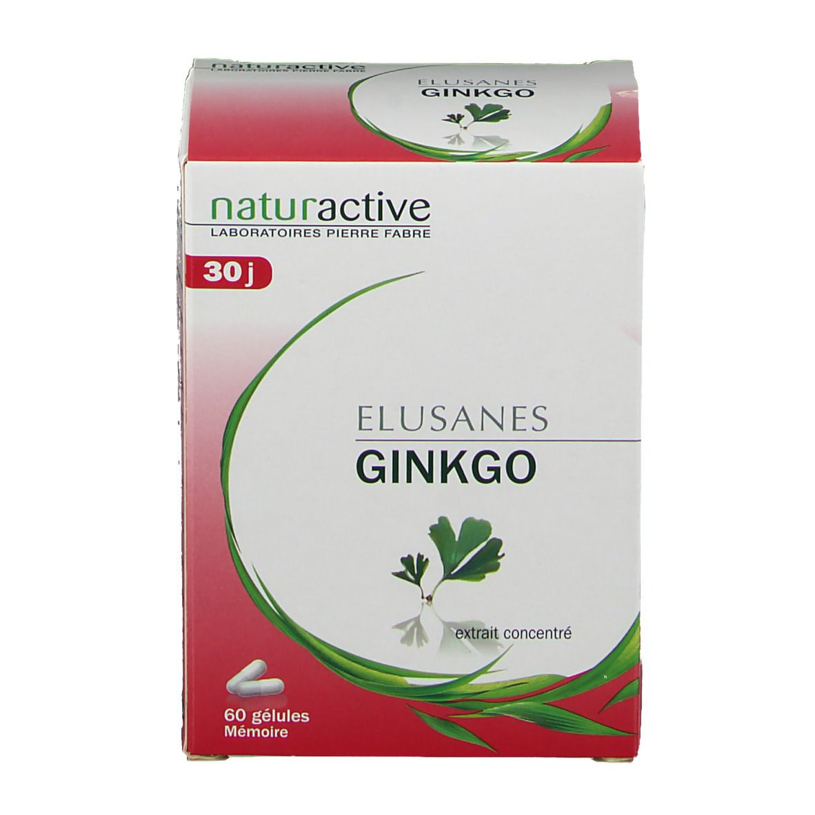 Elusanes Ginkgo