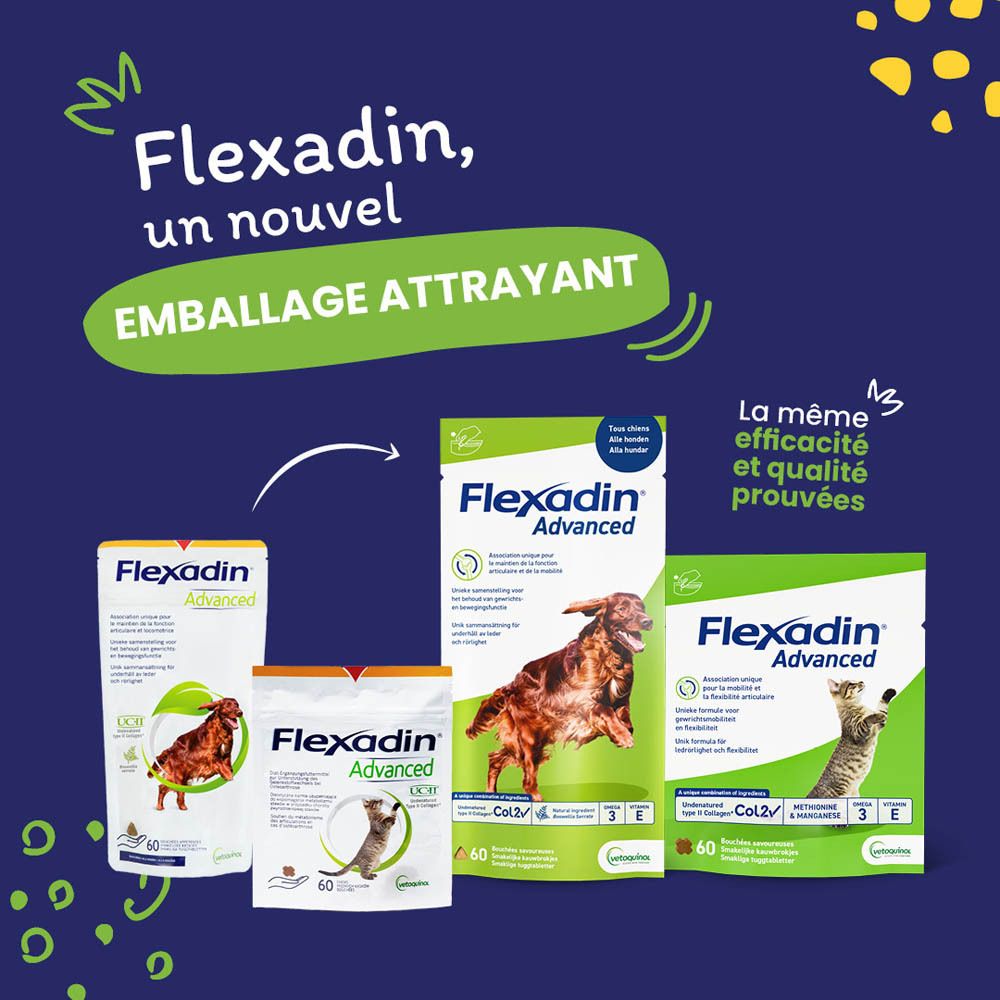 Flexadin Advanced + Boswellia Chien