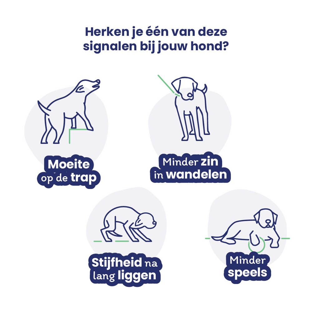 Flexadin Advanced + Boswellia Hond