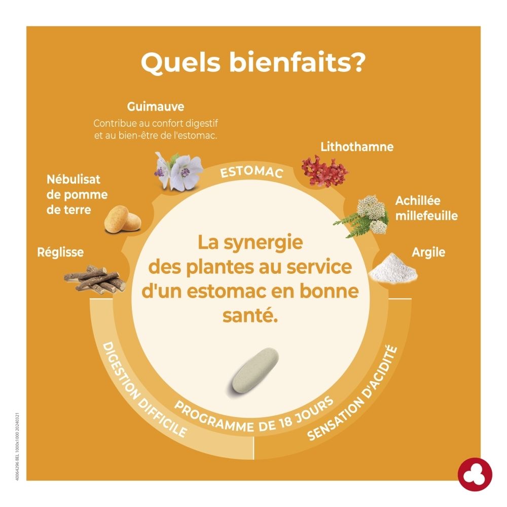 Boîte Ortis Minacia Regular Estomac de 36 gélules pour 18 jours.