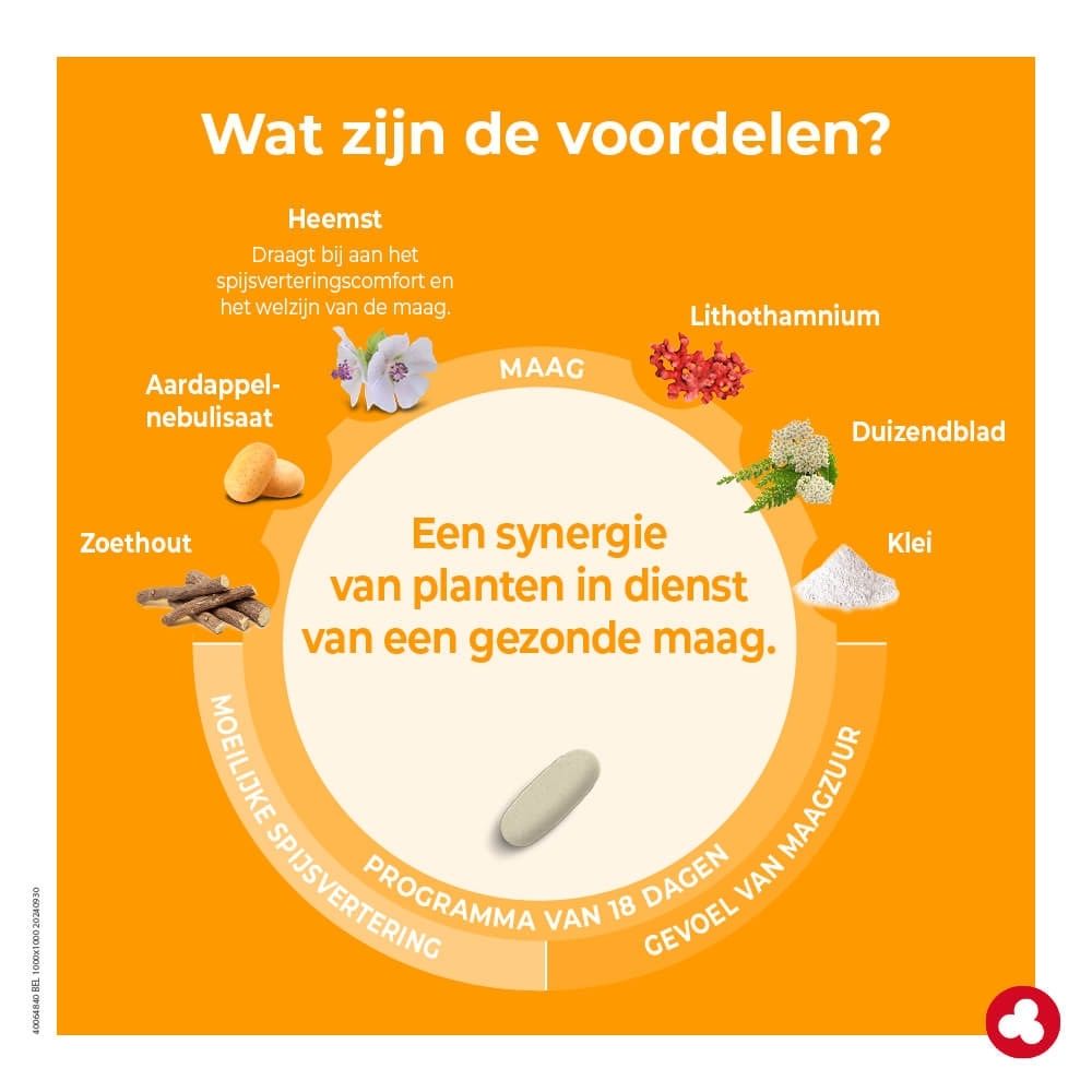 Ortis Minacia Regular Estomac verpakking met 36 capsules voor 18 dagen.