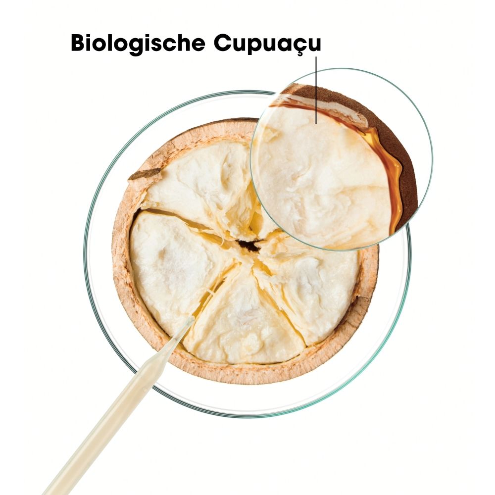 Klorane conditioner met biologische Cupuaçu boter voor zeer droog haar.