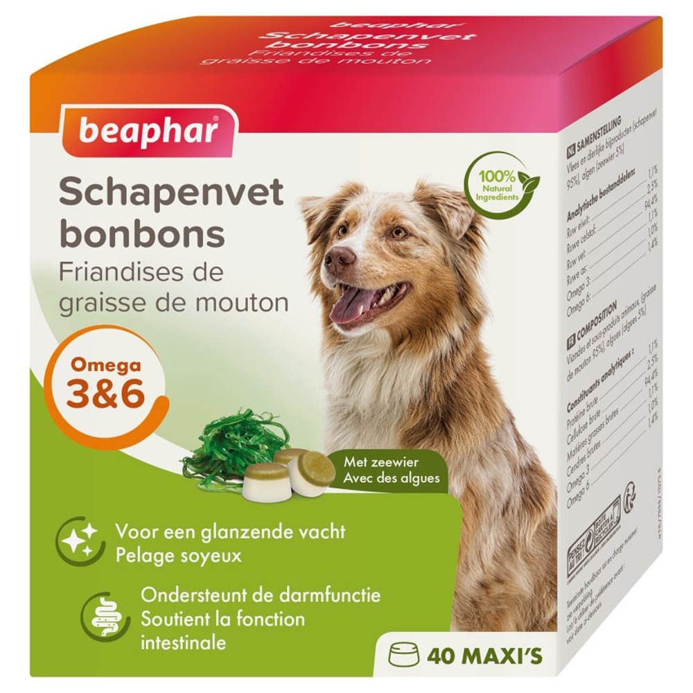 Boîte de friandises Beaphar. Contient Omega 3&6. Avec algues. 40 Maxi's. Image d'un chien.