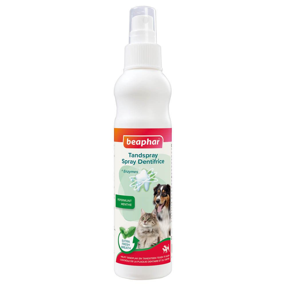 Witte sprayfles met transparante sproeikop. Opschrift: beaphar, Zahnspray, dentifrice. Afbeelding van hond en kat.