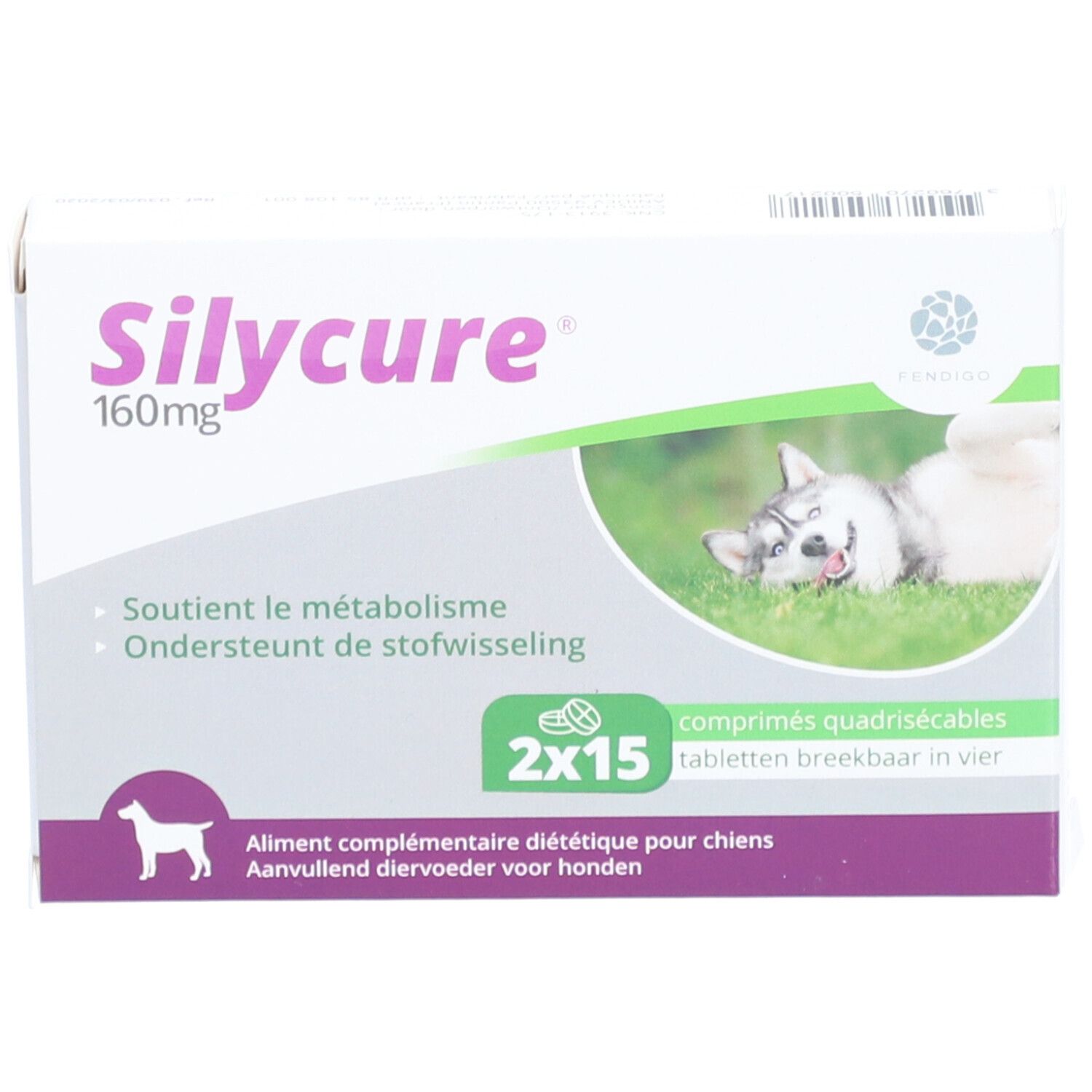 Silycure 160 mg