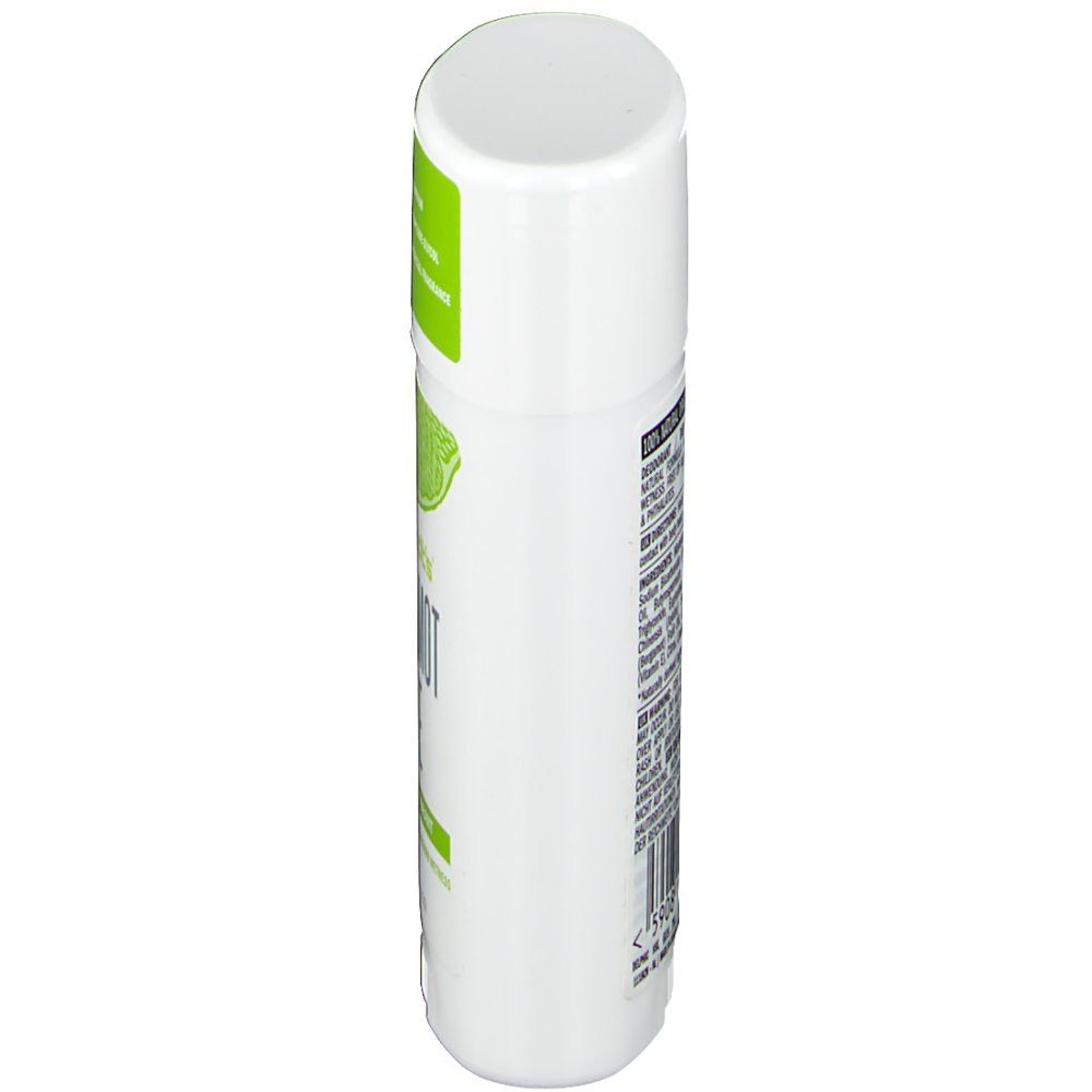 Schmidt's Deodorant Stick Bergamote + Citron Vert
