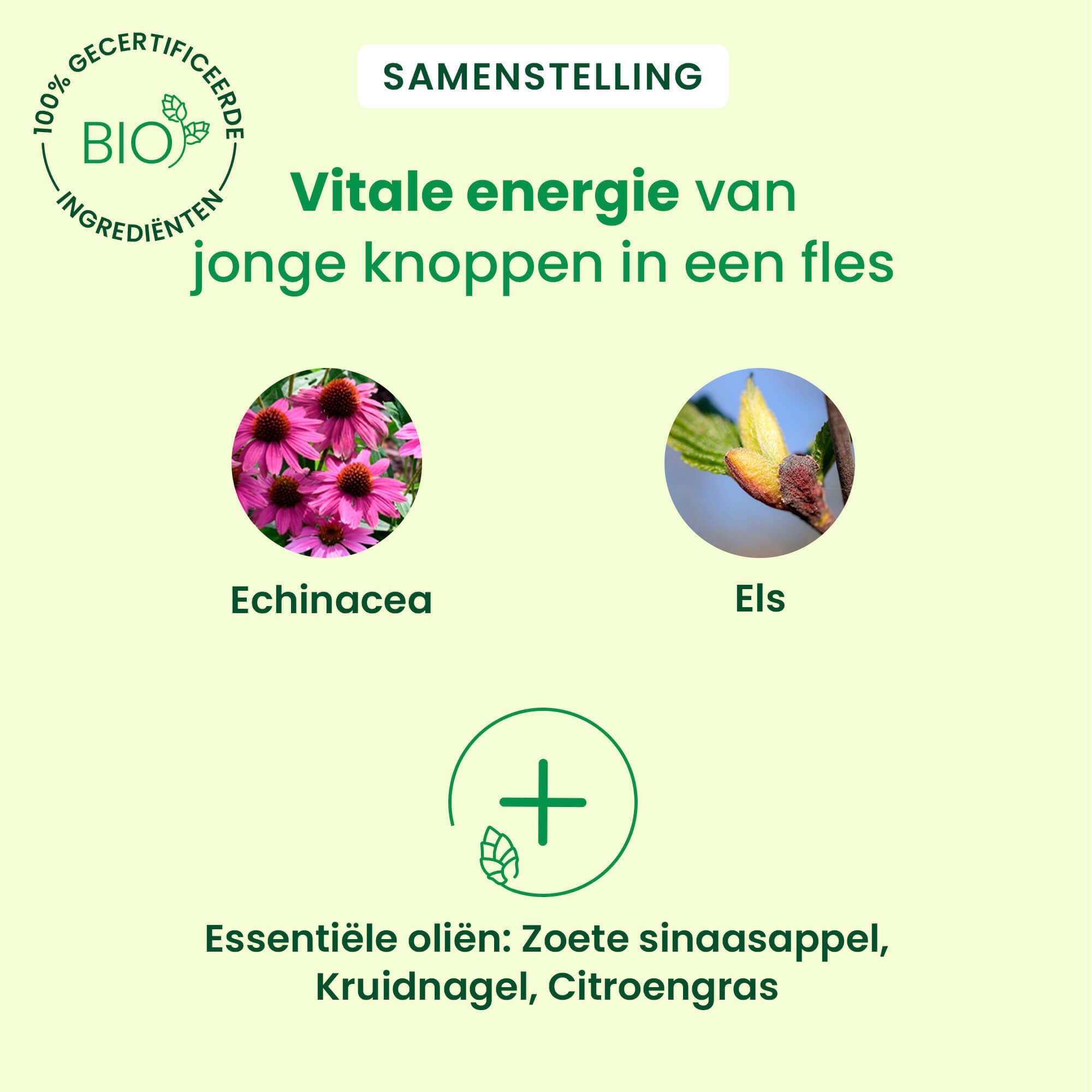 Samenstelling: Echinacea, Els, essentiële oliën. 100% Bio-certificering. Groene achtergrondkleur.