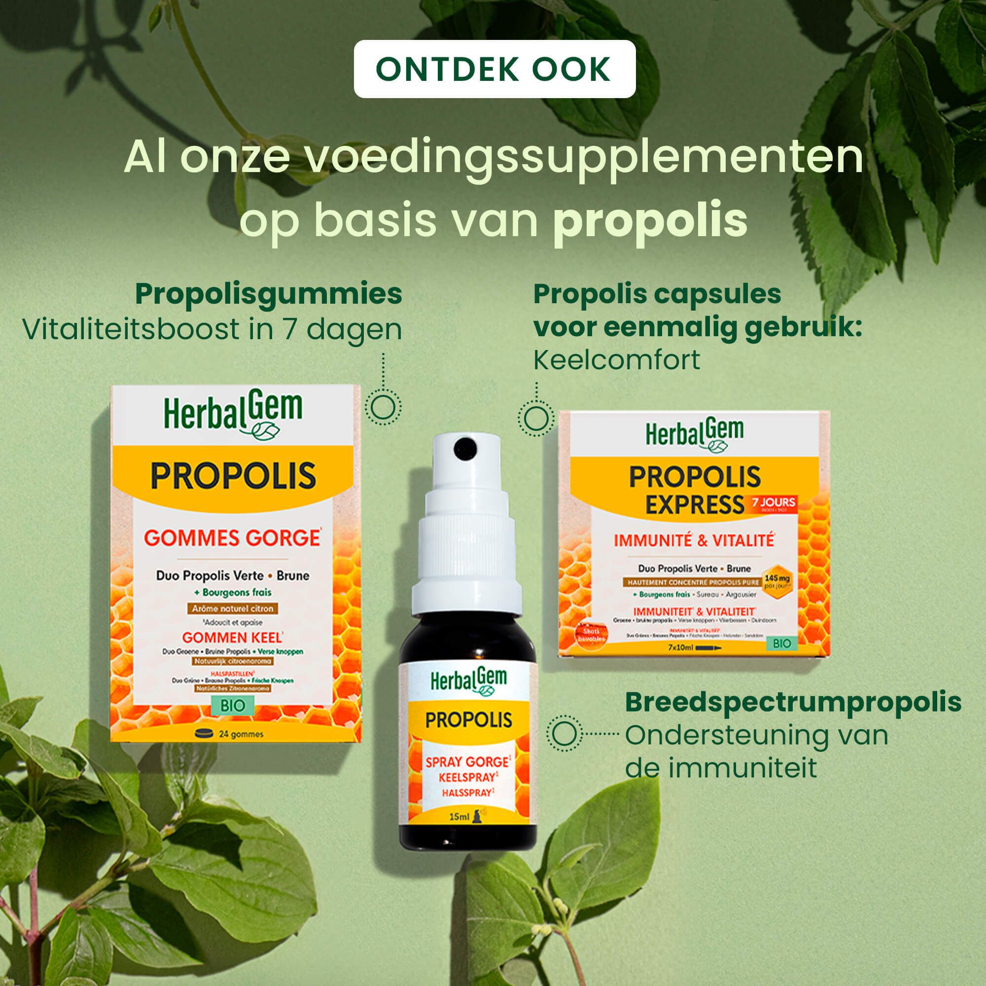 Drie Propolis-producten: druppels, gummies, spray. Tekst: HerbalGem Propolis.