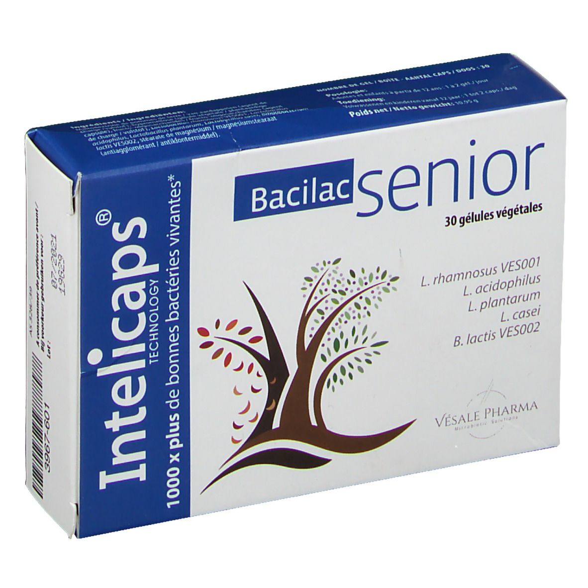 Bacilac Sénior