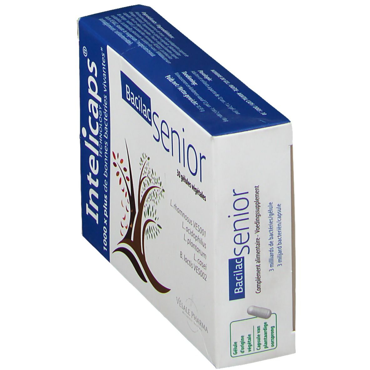 Bacilac Sénior