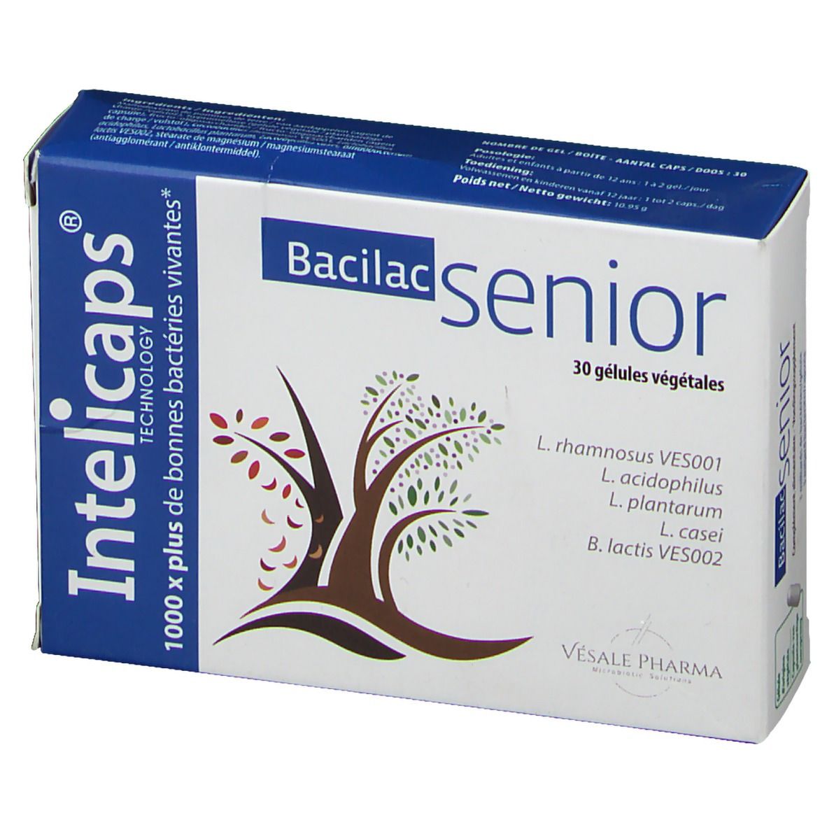 Bacilac Sénior