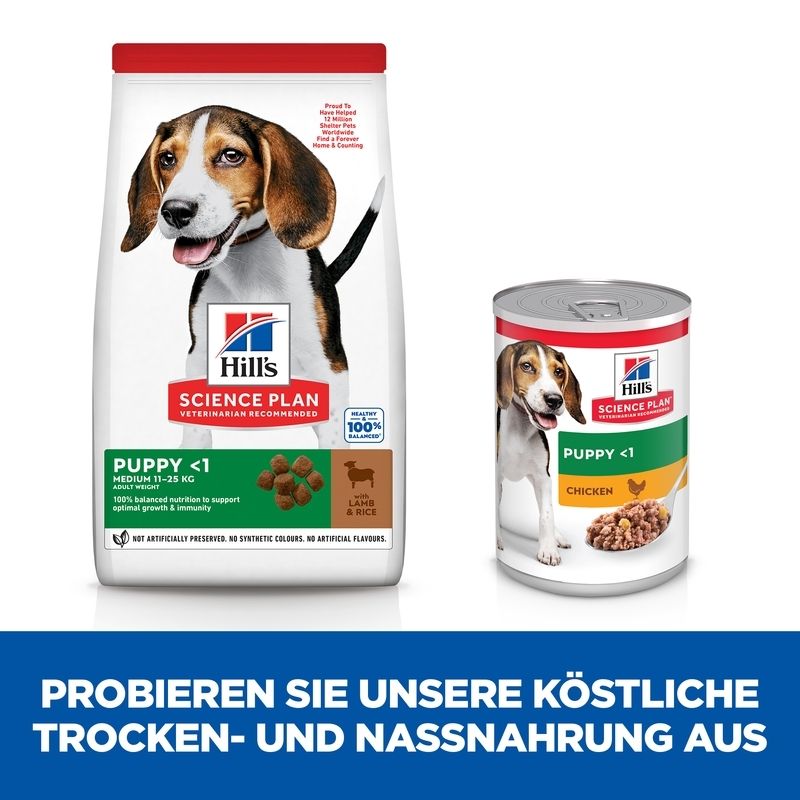 Hill's Science Plan Canine Medium Puppy Lam en Rijst