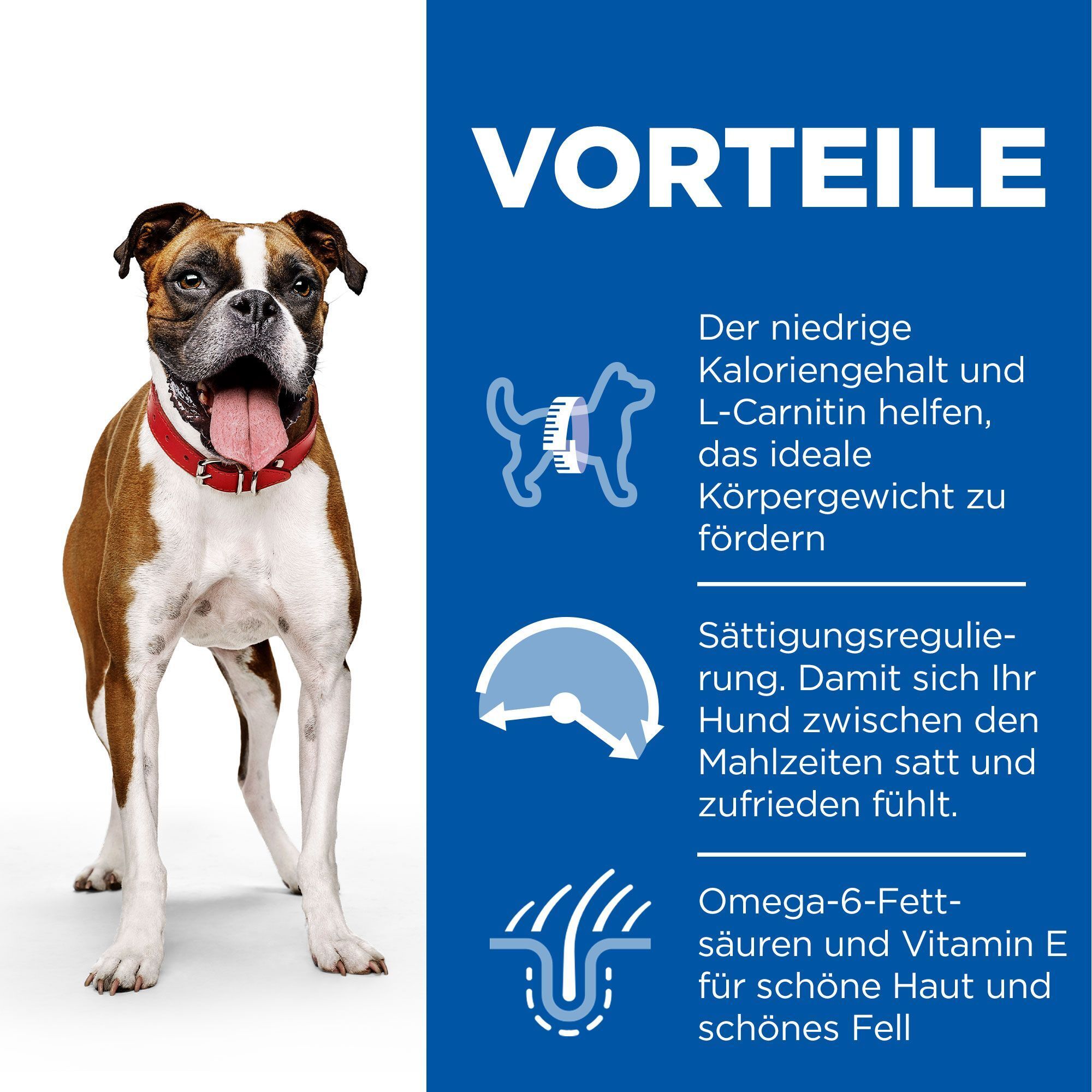 Hill's Science Plan Canine Medium Chien avec Poulet