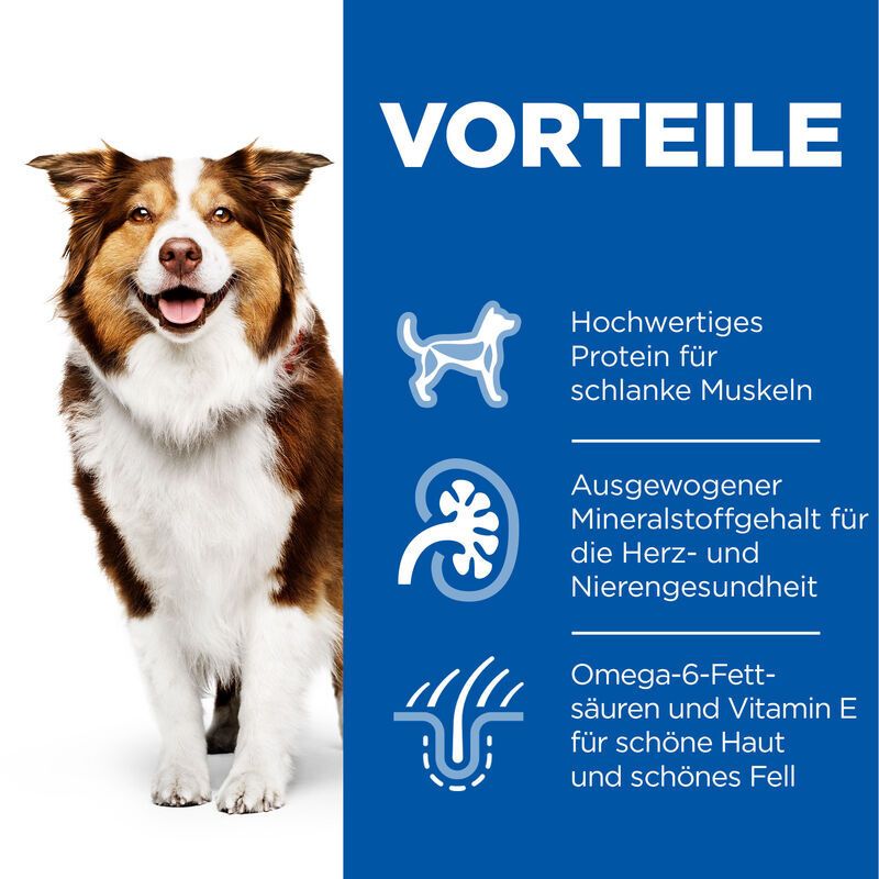 Hill's Science Plan Canine Mature Medium Chien au Poulet