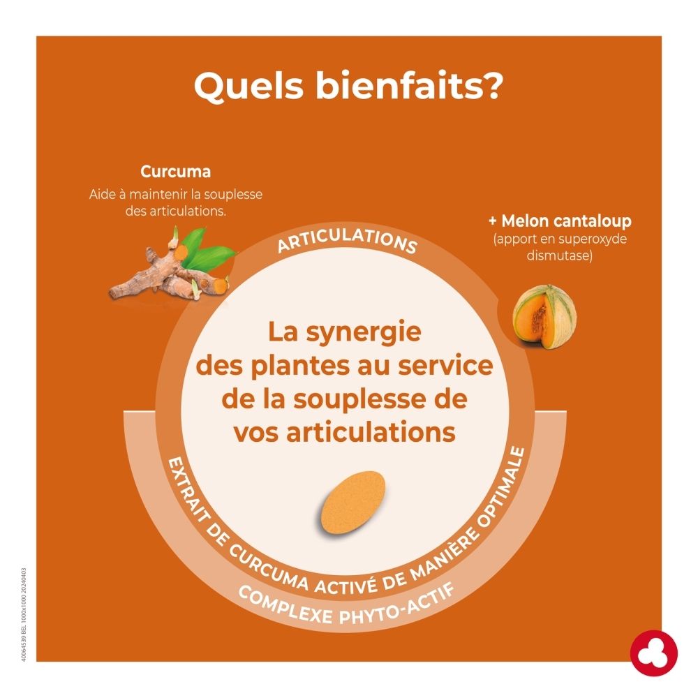 Graphique avec curcuma et melon expliquant la synergie des plantes pour les articulations.